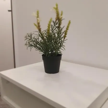 Small Traku Studio Διαμέρισμα Κάουνας